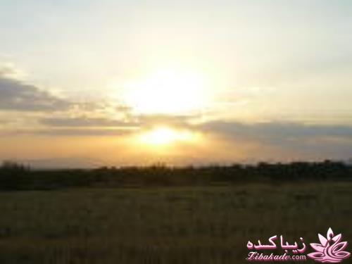 عکـــــــــــــــــس های گرفته شده در سفـــــــر